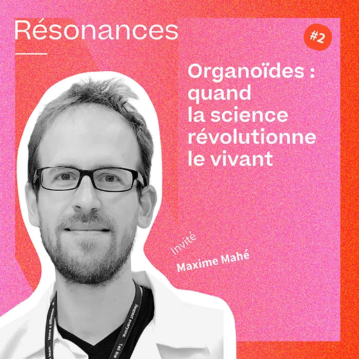 [PODCAST] Organoïdes : quand la science révolutionne le vivant