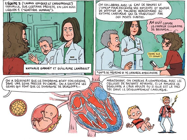 Planche BD Inserm institut du thorax