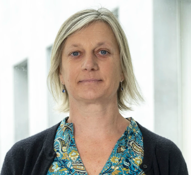 Jeanne Mialet-Perez, Angers University