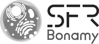 logo sfr bonamy